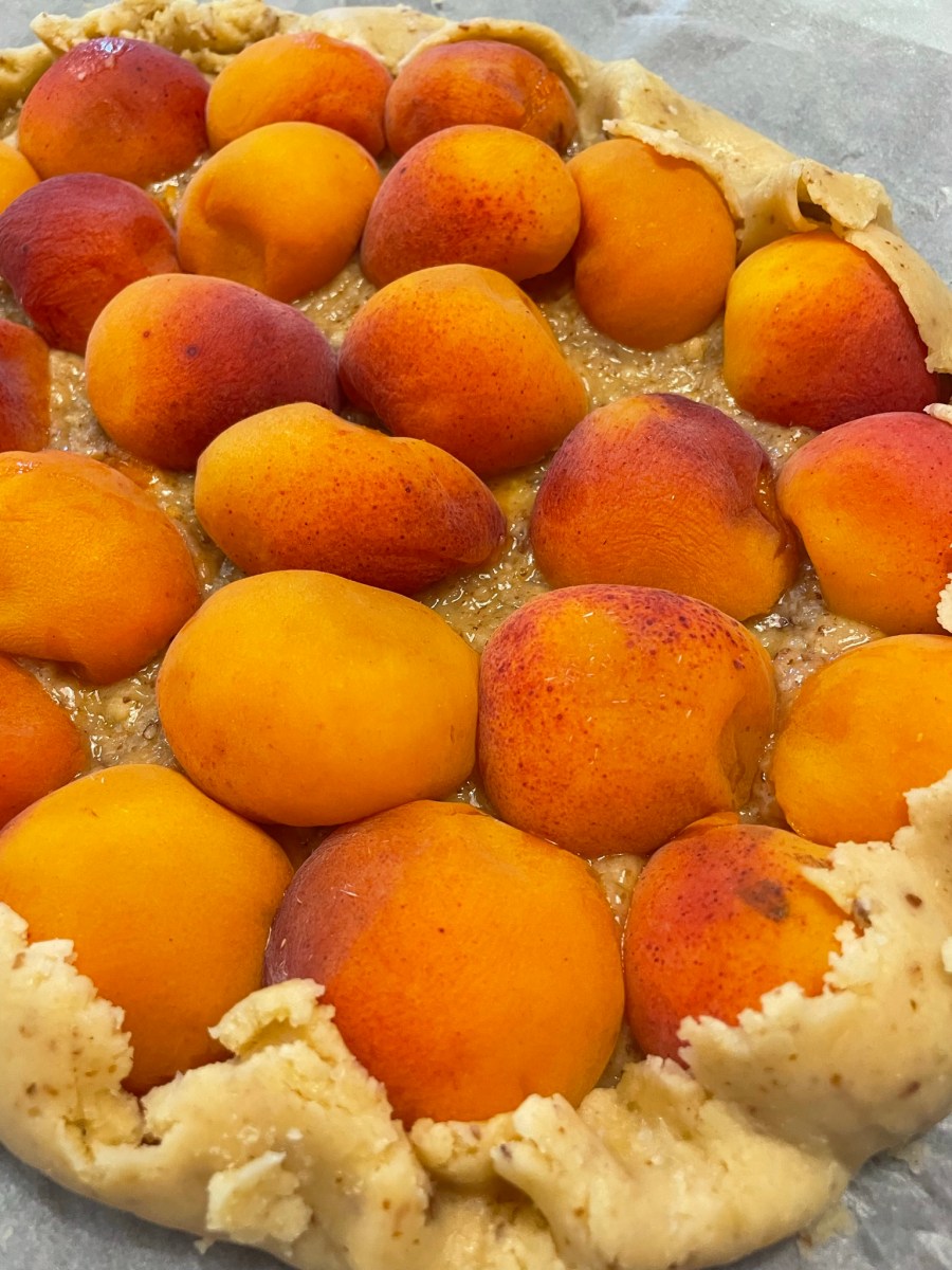 tarte rustique aux abricots