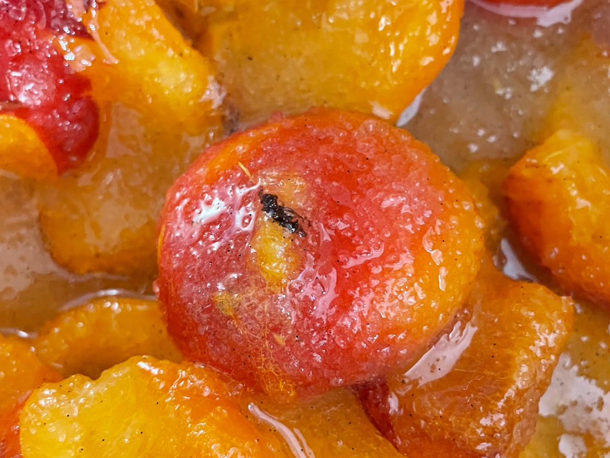 Confiture d&rsquo;abricots